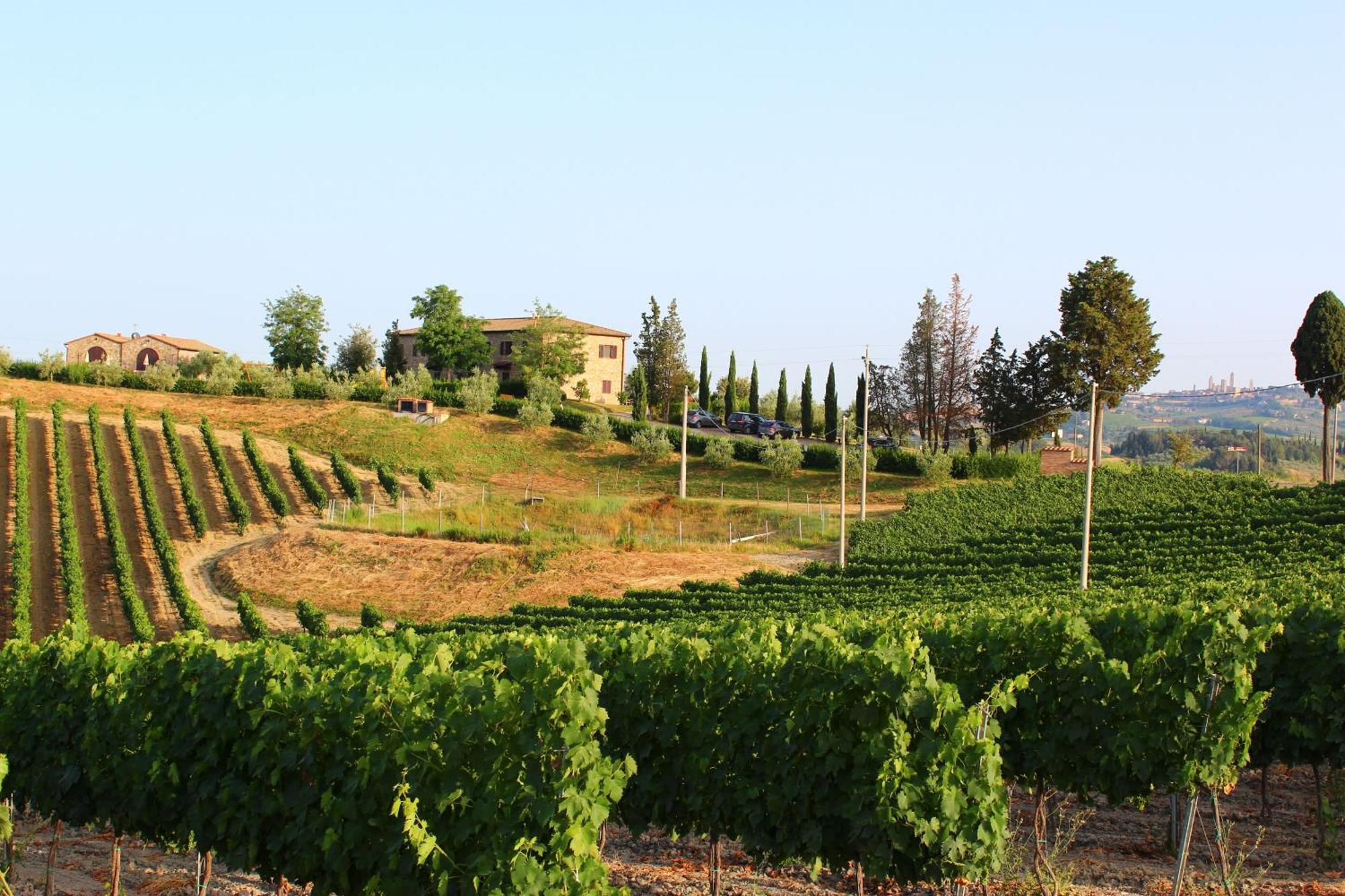 Agriturismo Macinatico San Gimignano Eksteriør billede